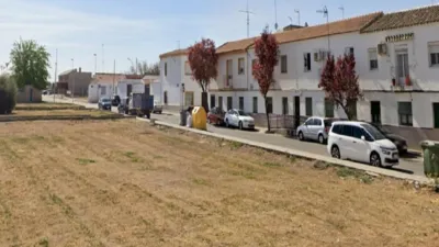 Miniatura 9